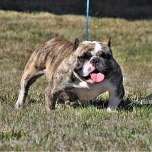 Meet your Posher, Peter